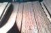 Reddish Makore Quarter Cut Veneer With Strong Figured Grain