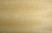 0.5 mm Golden Teak Quarter Cut Veneer With Fine Straight Grain