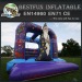 Enchanting inflatable bouncer without roof