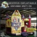 Deluxe princess tangled bouncy castle inflatable