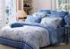 Blue Globe Floral Bedding Sets 4 Pieces , Duvet Covers Sets for Home