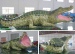 Inflatable crocodile for advertising