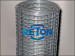 PVC Coated Galvanized Welded Wire Mesh
