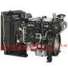Lovol 1006NG series natural gasoline engine inline & rotatory fuel pump for inland generator set