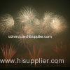 Big Event commercial grade fireworks / festival Fireworks Assortment 500 shots