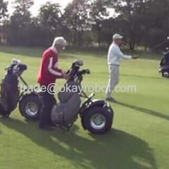 segway golf buggy