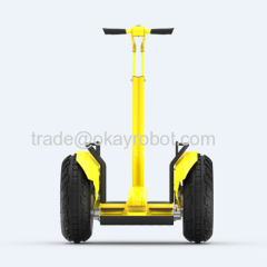 two wheel self balanced electric scooter chariot segway