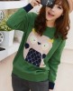 Cute owl Sweater Girl jumper