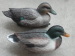 XPE full body duck decoy for outdoor hunting