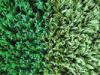 Soft Olive Green Baseball Artificial Grass TenCate Thiolon Polypropylene Synthetic Turf