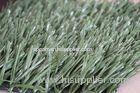 Playground Artificial Turf Athletic Fields Waterproof Artificial Sports Turf