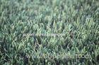 Dtex11600 Home Landscaping Artificial Grass PE PP Waterproof Fake Turf With ISO