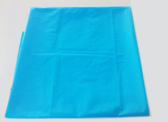 Disposable bed sheet with elastic