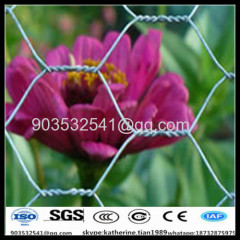 13mm bwg27 Anping hexagonal planting mesh screen