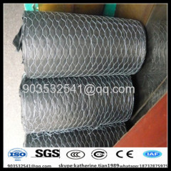 13mm bwg27 Anping hexagonal planting mesh screen