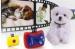 Lovely Animals 720P Action Camera Video / Voice Reocorder for Dog or Cat Pet Camcorder