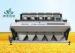 Electronic TOSHIBA CCD Double boiled Rice Sorting Machine AC220V 50HZ