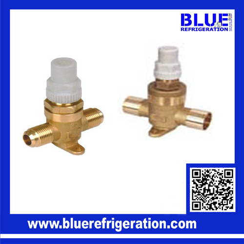 BLR Series Capped Valve