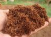 Coco Peat Exporters in india