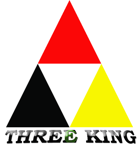 THREE KING TECHNOLOGY LTD