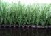 Diamond Shape PE + PP Soccer Artificial Grass For University Playground