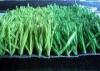 Soft Natural looking 50mm Green Baseball Artificial Grass Turf Anti Fire for outdoor