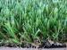 Residential 11000dtex 30mm Artificial Grass For Gardens , Landscaping