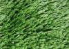 8800 Dtex Cricket Pitch Grass , Field Green And Apple Green Artificial Lawn Grass