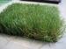 Green , PP + net cloth backing Indoor Synthetic Grass Environmental friendly