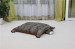 Super-soft fur funny animal shape dog beds pet mats