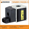 Automotive solenoid valve solenoid coil