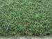 PP + Cloth Backing , 4500Dtex Golf Artificial Grass Putting Greens For Home Decorative