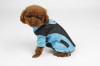 Large Size 40cm Pet Coat