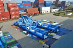 Gaint inflatable jump obstacle hippo slide