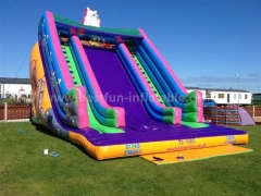 Huge Beautiful Inflatable Slide of China Manufacturer
