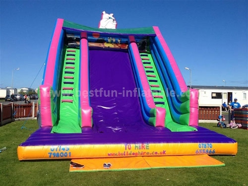 Huge Beautiful Inflatable Slide of China Manufacturer