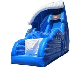 Jumper vertical rush high speedy inflatable slide