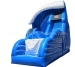 Jumping n Sliding inflatable slide combo