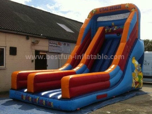 Outdoor Inflatable Slide for Grassland n Beach
