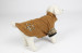 Коричневый / Серый Собака пальто зимы С Print для маленьких собак