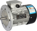 YL aluminum housing single phase asynchronous motor high efficiency sales