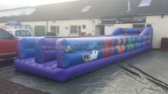Inflatable Bungee Run single and double lanes