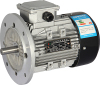 electromagnetic braking induction motor