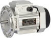 YL high output aluminum housing three-phase asynchronous motor