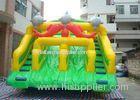 Fish Double Climbing Ladders Commercial Inflatable Slide For Adult