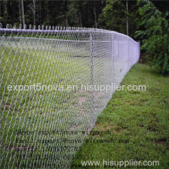 The Chain link fence