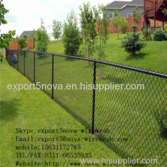 The Chain link fence