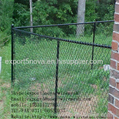 The Chain link fence