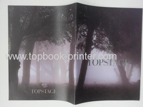 Top-class silver stamping cover saddle stitched landscape photobook printer
