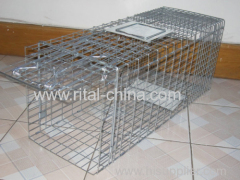 live animal cage trap